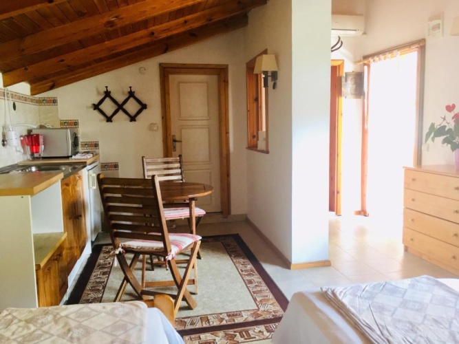 Studio with balcony and with view
