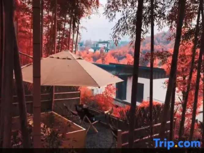 Re Healing Villa
