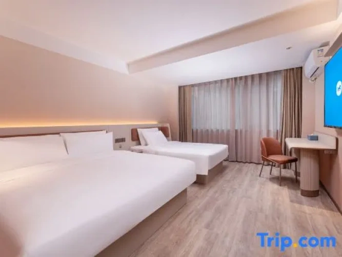 Twin Suite