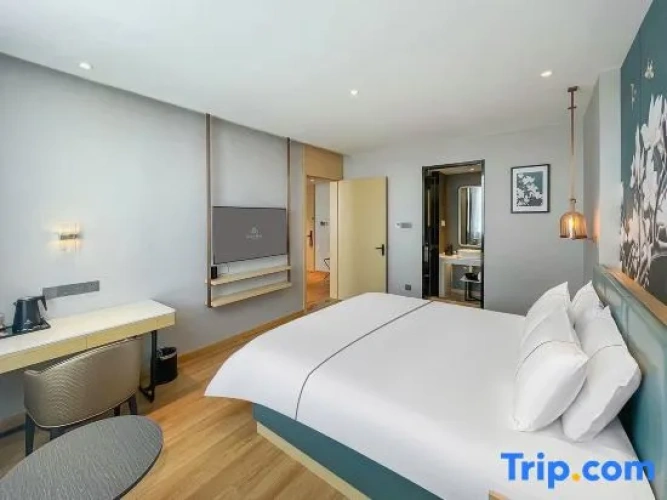 Standard Suite
