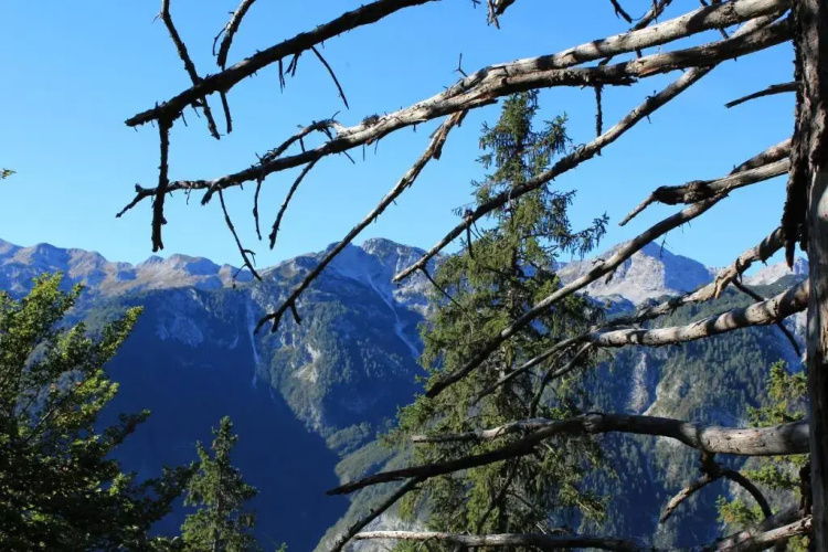 Apartments & Hostel Bohinj