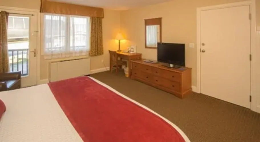 Standard Double Penthouse room