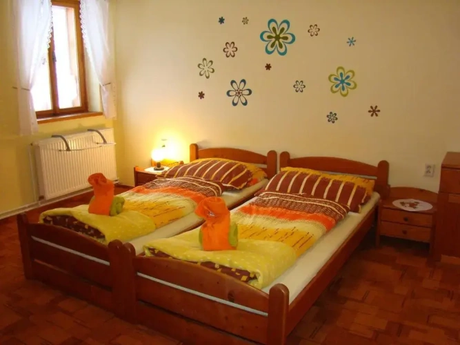 Standard Double room with view
