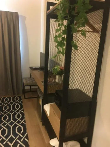 Tree for rest poshtel