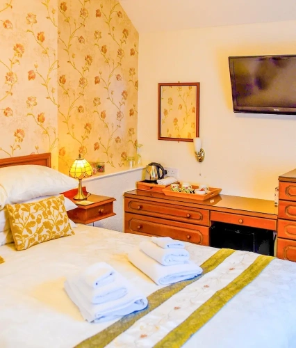 Deluxe Double room