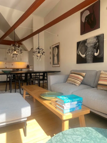 Standard Penthouse room