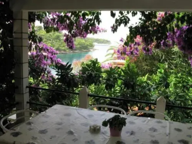 Apartment Danijela