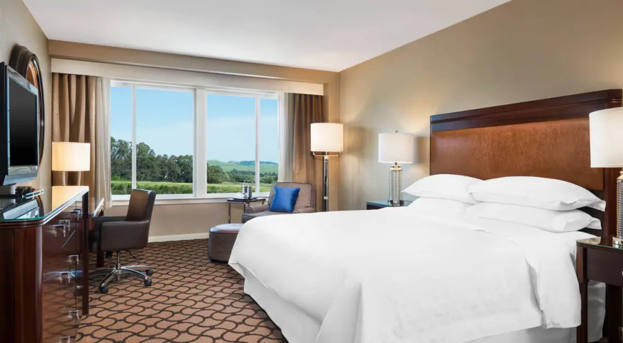 Standard Double room with garden view