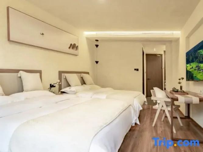 Standard Double room with courtyard view
