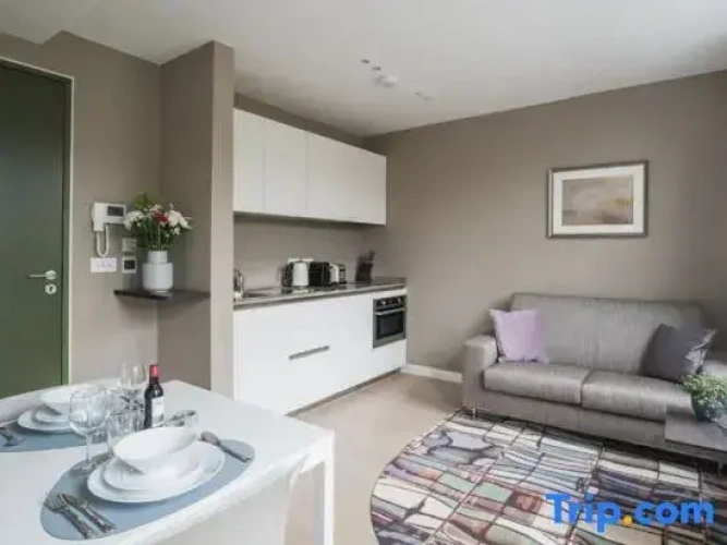 1 Bedroom Apartment