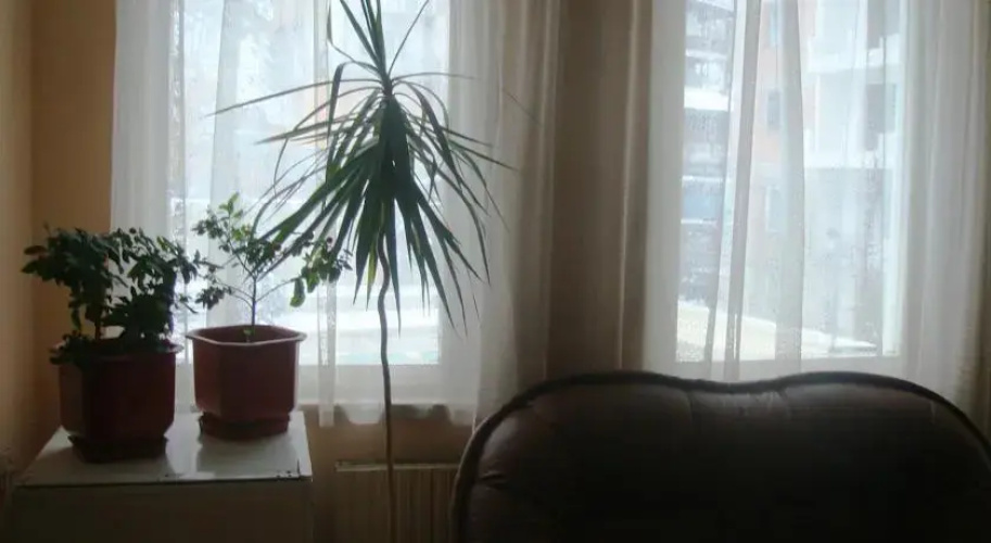 Hotel Detelina