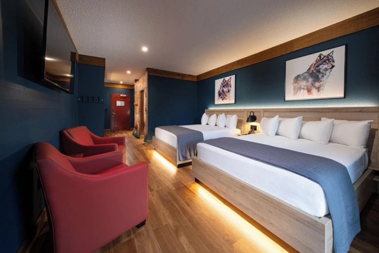 Deluxe Suite