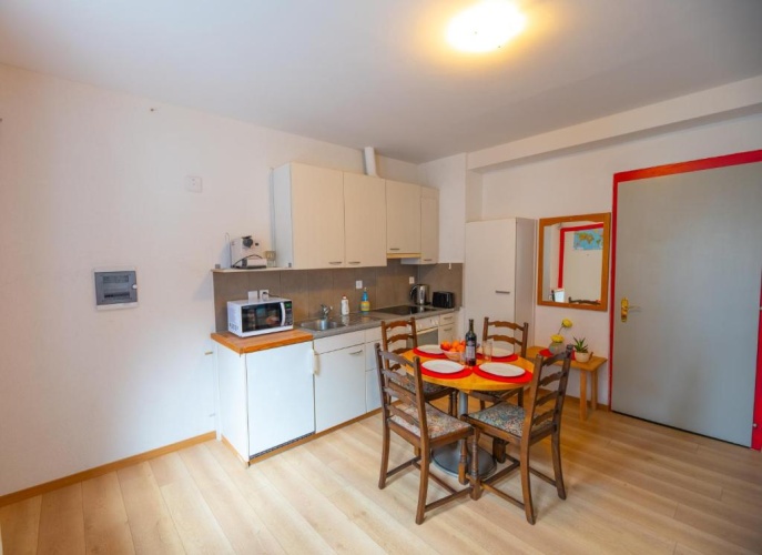 Basement Apartment