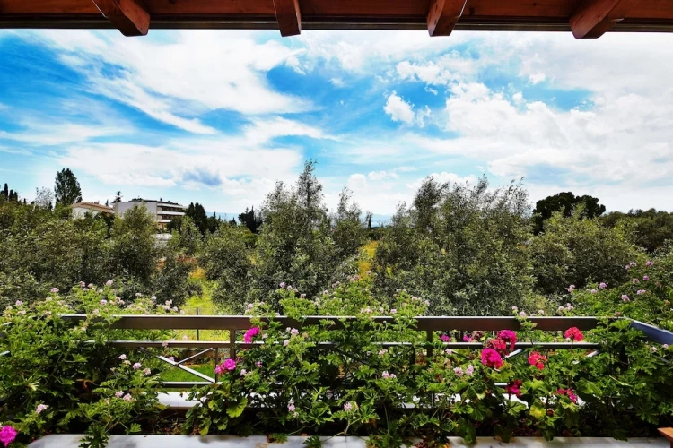 Deluxe Double room with garden view