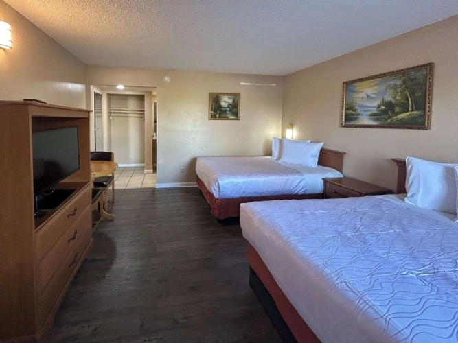 Standard Suite
