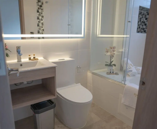 Deluxe Suite