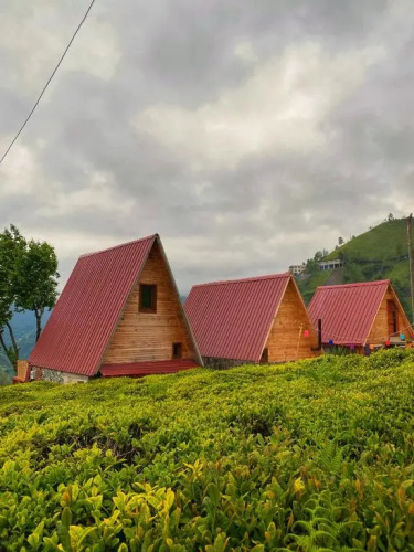 Serintepe Bungalov
