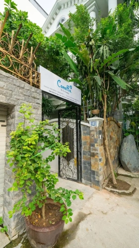 Camellia Homestay