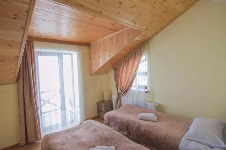 Standard Double room with mountain view