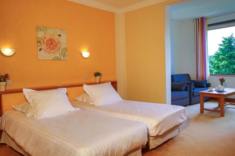 Superior Twin room with garden view