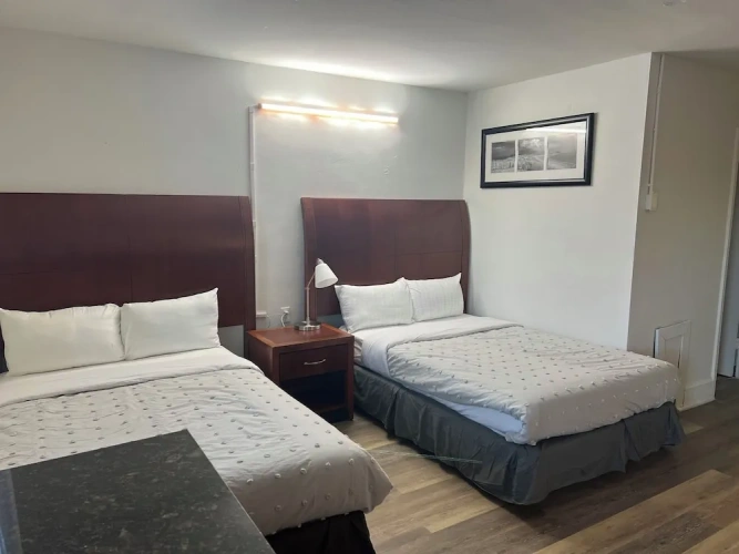 Economy Single room