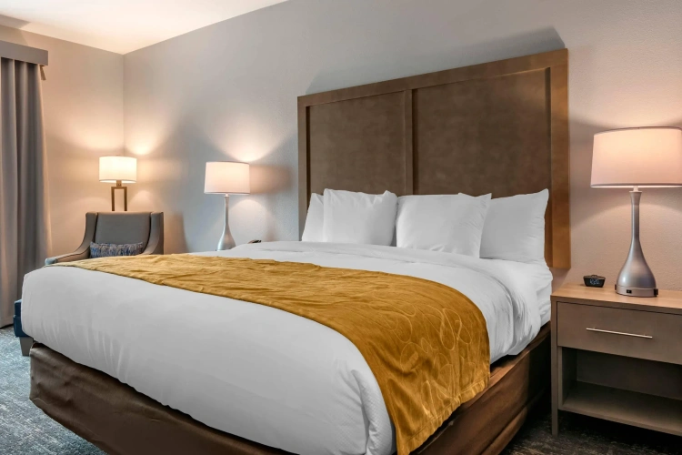 Standard Double room