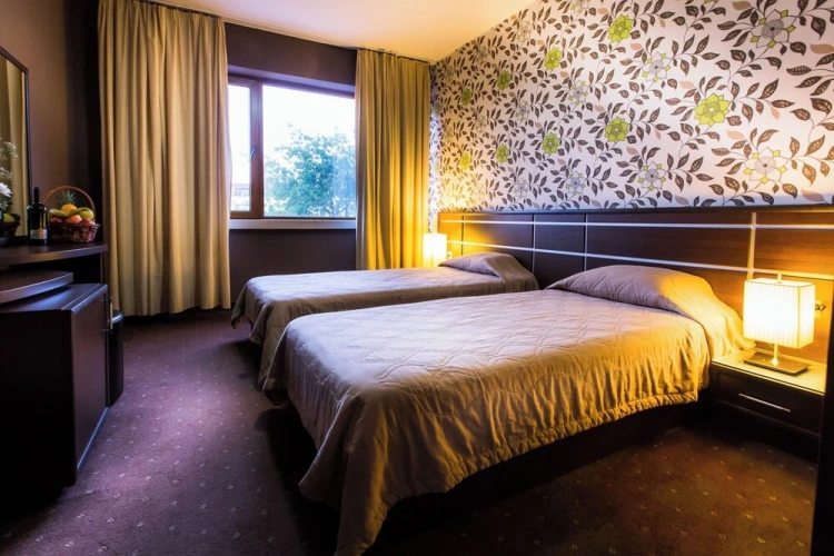 Standard Twin room with city view