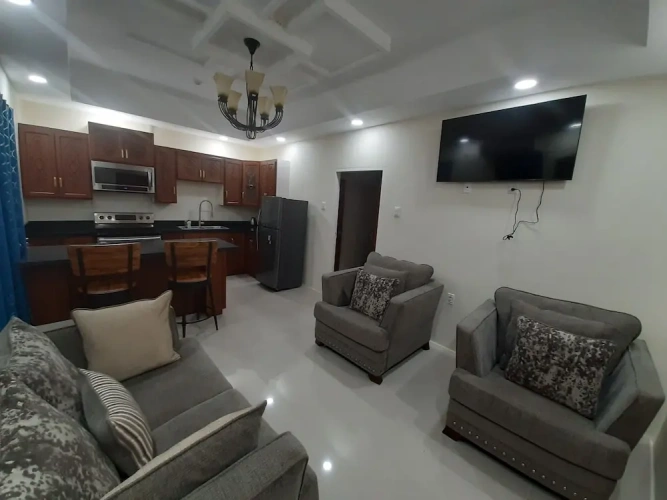 Luxury Apartment