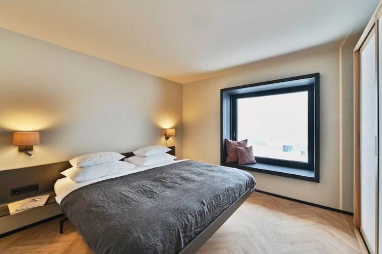 Deluxe Apartment