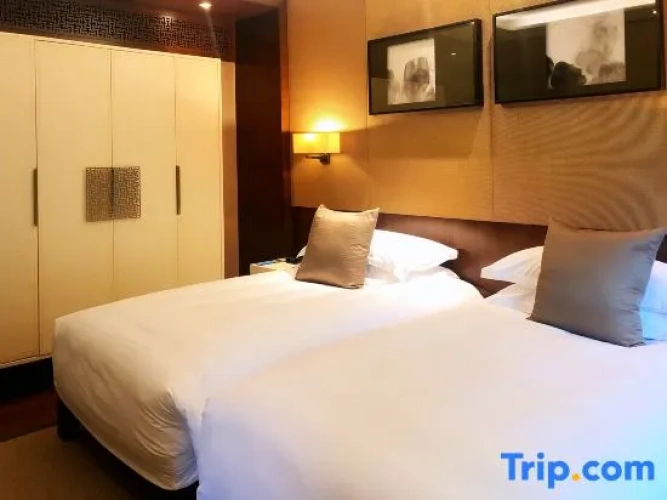 Twin Suite