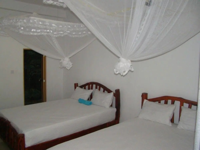 Ella River House