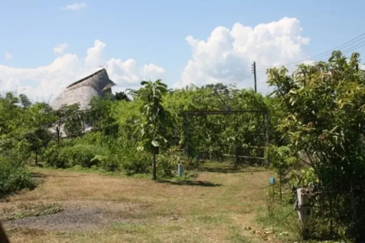 Sanpatong Farm Stay