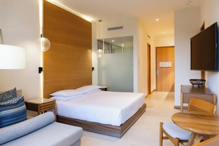 Standard Double room with balcony and with mountain view