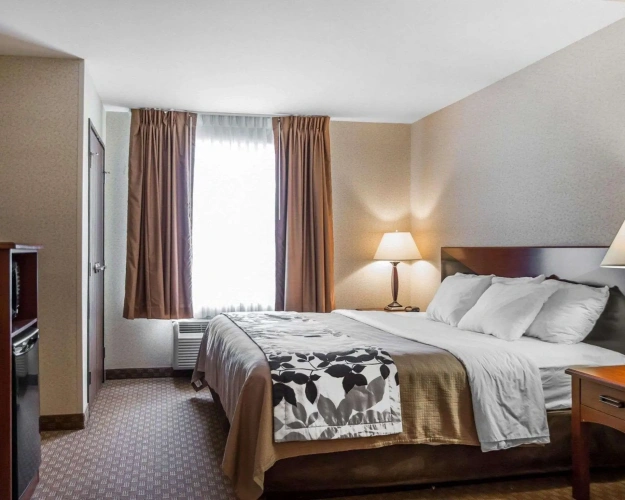 1 Bedroom Suite