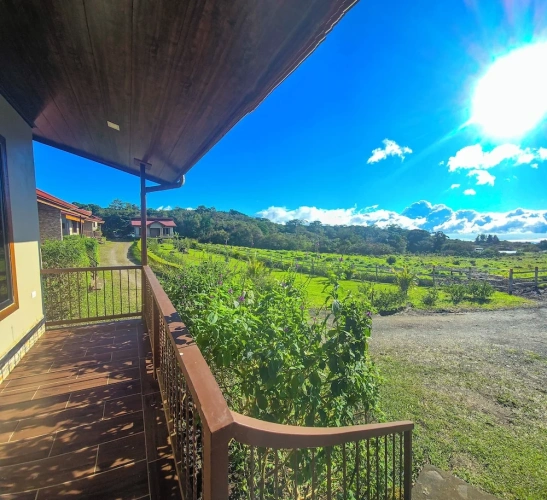 Standard Double room with balcony and with garden view