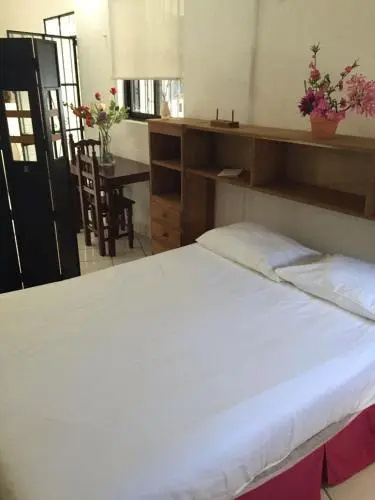 Alquimia Condo 2