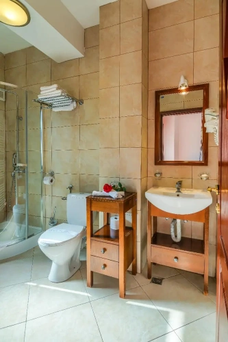Standard Double room with balcony and with mountain view