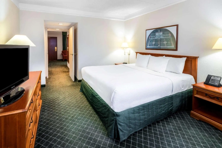 1 Bedroom Double Suite
