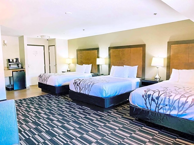 Executive Sextuple Suite