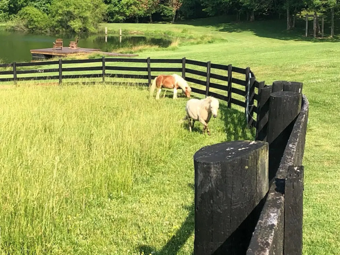 Willow Bend Farm