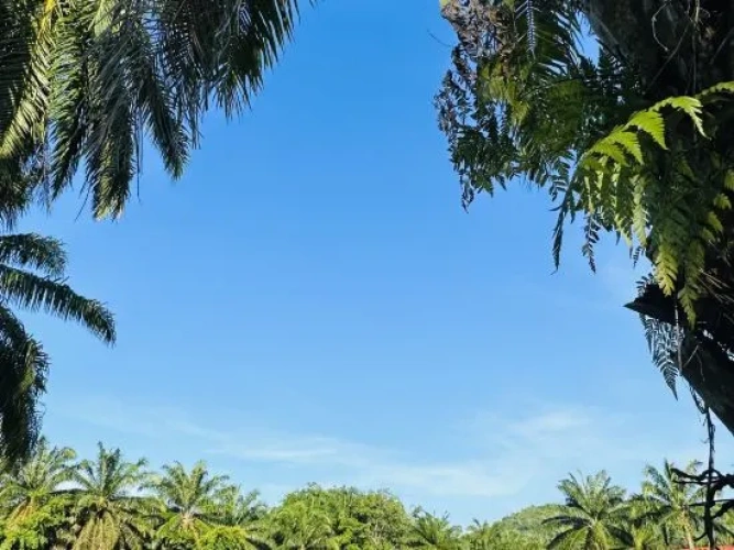 Outside