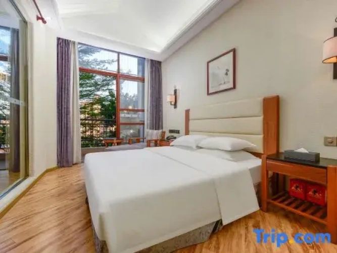 Deluxe Double Suite with balcony and with city view