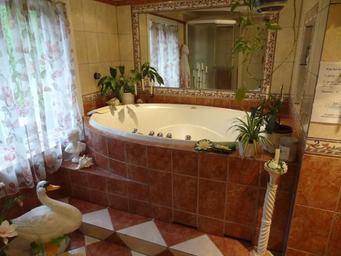 Standard Double room with view