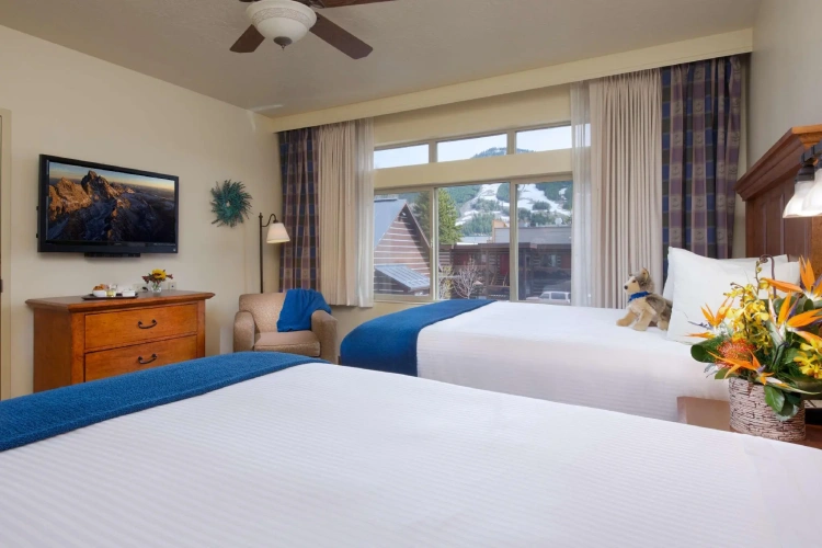 Quadruple Suite