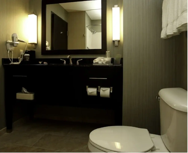 1 Bedroom Suite