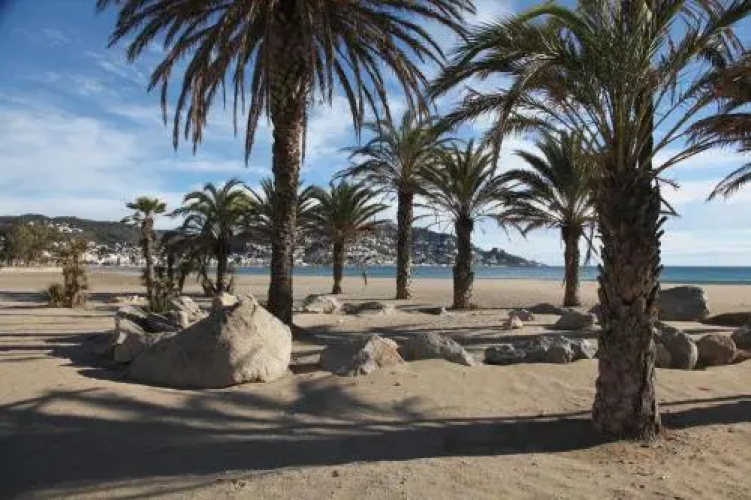 Camping & Apartments Joncar Mar