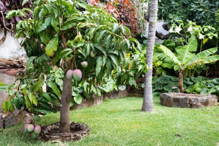 Superior Twin Villa