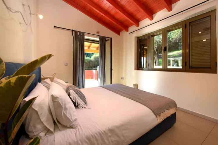 Standard Penthouse room