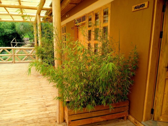 Standard Single room with lake view