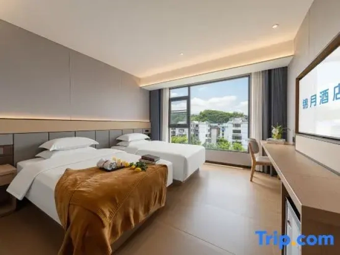 Deluxe Twin room with city view